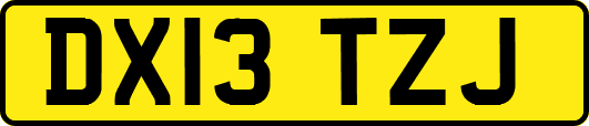 DX13TZJ
