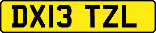 DX13TZL
