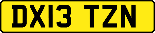 DX13TZN