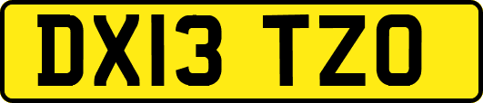DX13TZO