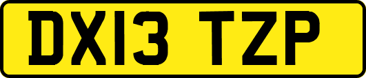 DX13TZP