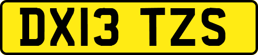 DX13TZS