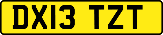 DX13TZT
