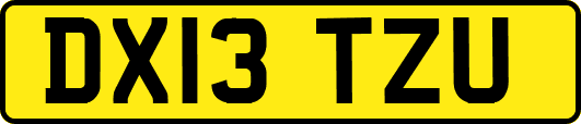 DX13TZU