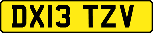 DX13TZV