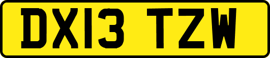 DX13TZW