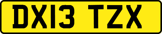 DX13TZX