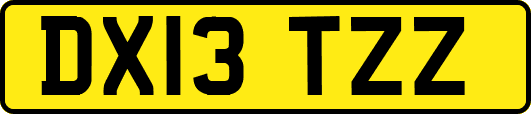DX13TZZ