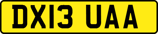DX13UAA