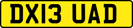 DX13UAD