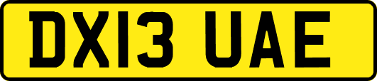 DX13UAE