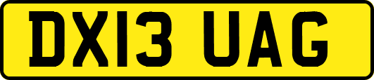 DX13UAG