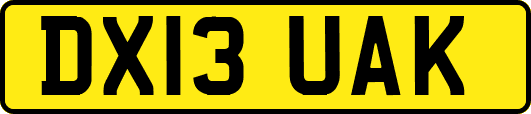DX13UAK