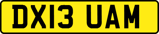 DX13UAM