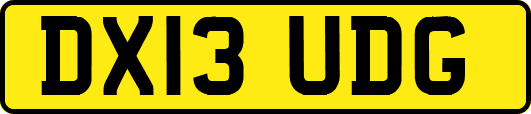 DX13UDG