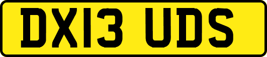 DX13UDS