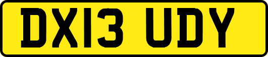 DX13UDY