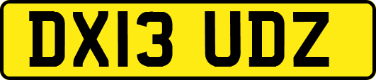 DX13UDZ