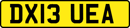 DX13UEA