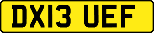 DX13UEF