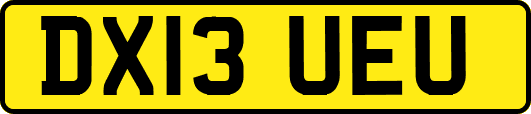 DX13UEU