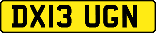 DX13UGN