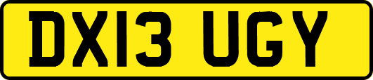 DX13UGY