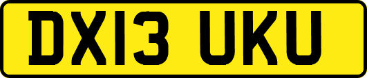 DX13UKU