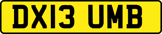 DX13UMB
