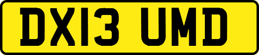 DX13UMD