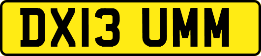 DX13UMM