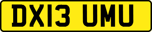 DX13UMU