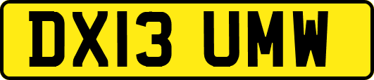DX13UMW