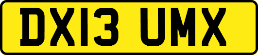 DX13UMX