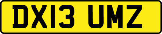 DX13UMZ