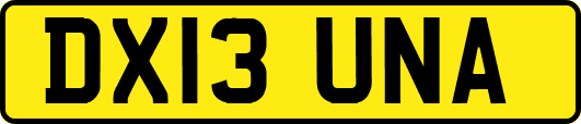 DX13UNA