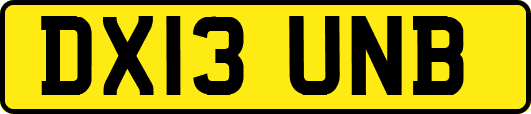 DX13UNB