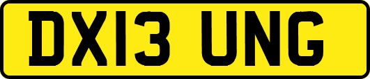 DX13UNG