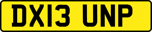 DX13UNP