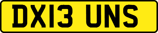 DX13UNS
