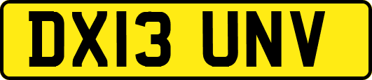 DX13UNV