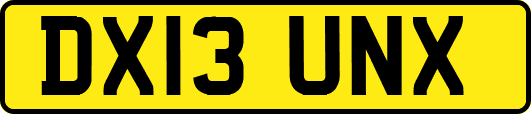 DX13UNX