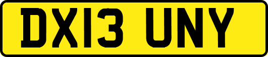 DX13UNY