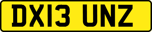 DX13UNZ