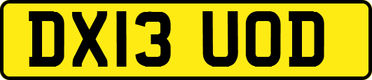 DX13UOD