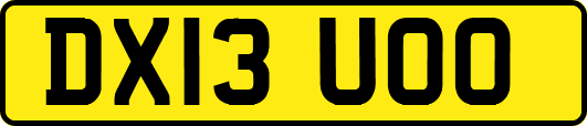 DX13UOO