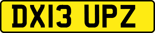 DX13UPZ