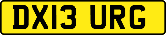 DX13URG