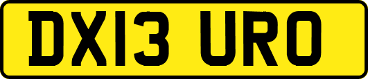 DX13URO
