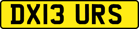 DX13URS